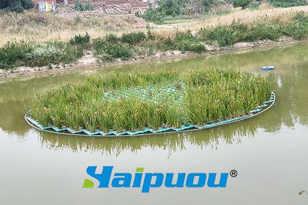 河道系統綜合治理